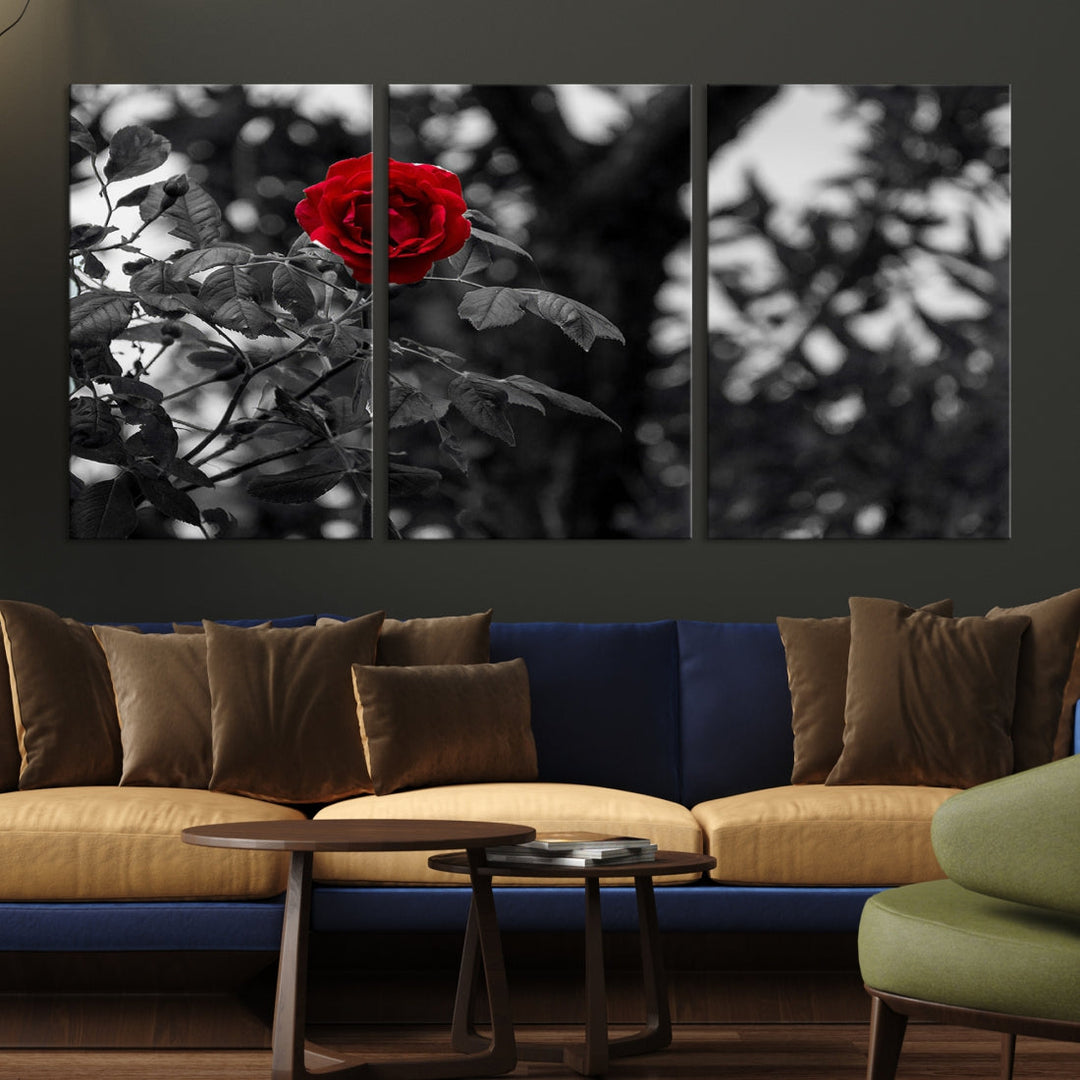 Red Rose with Black & White Background Love Canvas Wall Art Print Rose Canvas Art Love Artwork