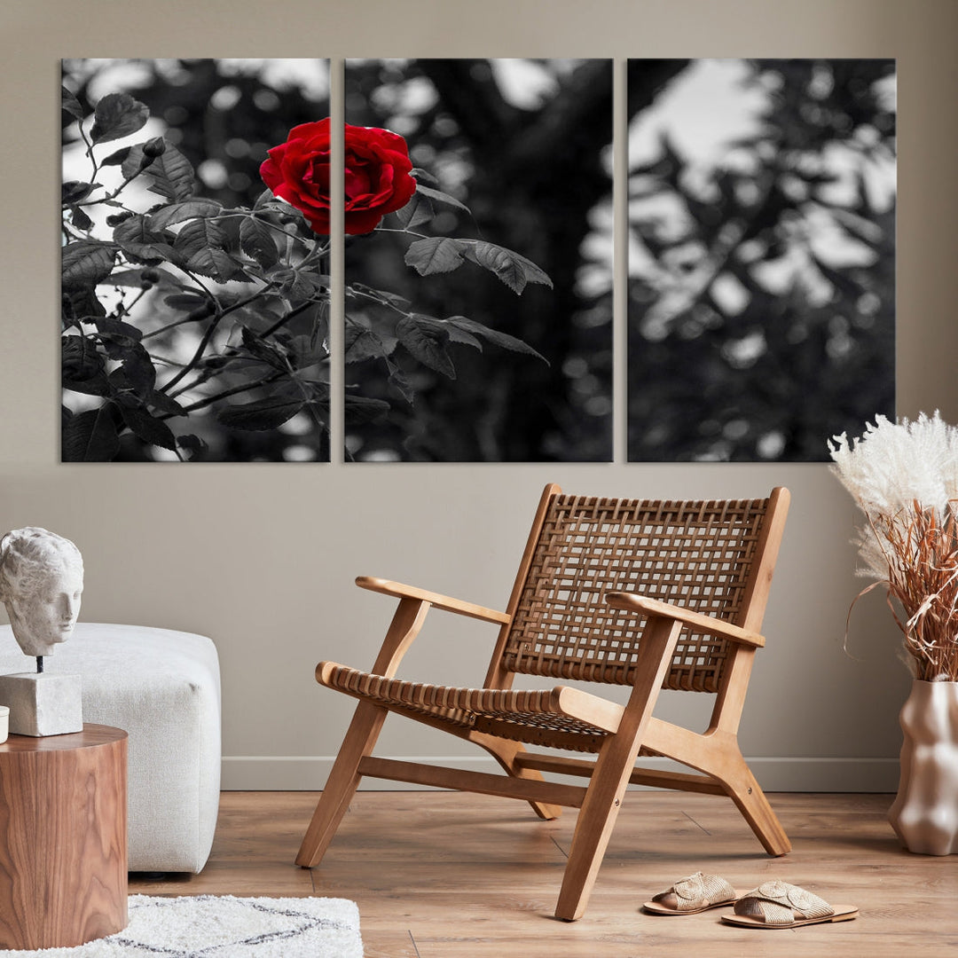 Red Rose with Black & White Background Love Canvas Wall Art Print Rose Canvas Art Love Artwork