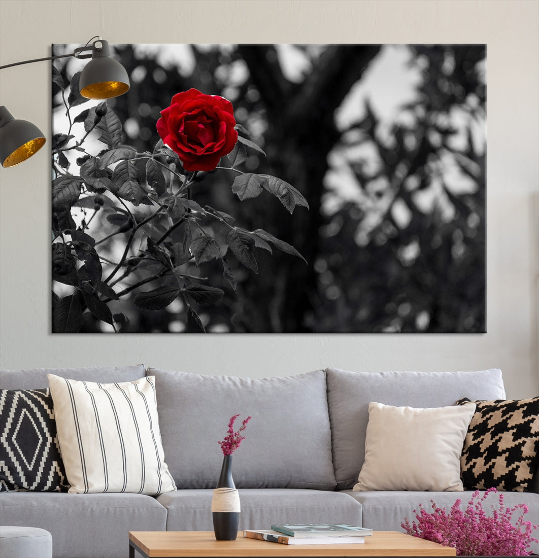 Red Rose with Black & White Background Love Canvas Wall Art Print Rose Canvas Art Love Artwork