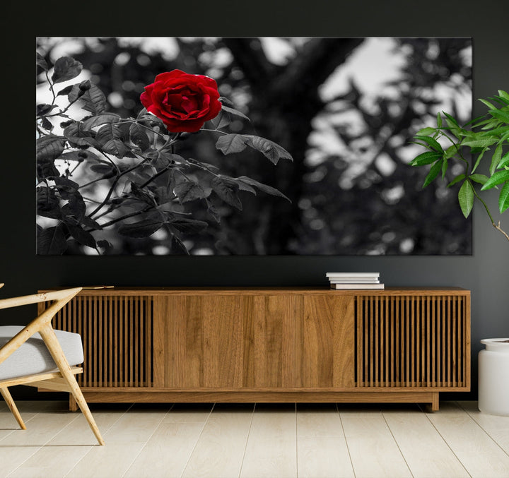 Red Rose with Black & White Background Love Canvas Wall Art Print Rose Canvas Art Love Artwork