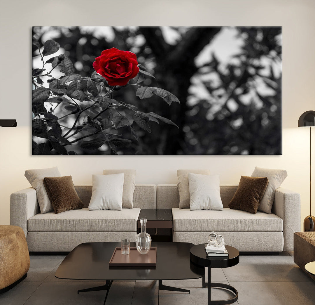 Red Rose with Black & White Background Love Canvas Wall Art Print Rose Canvas Art Love Artwork