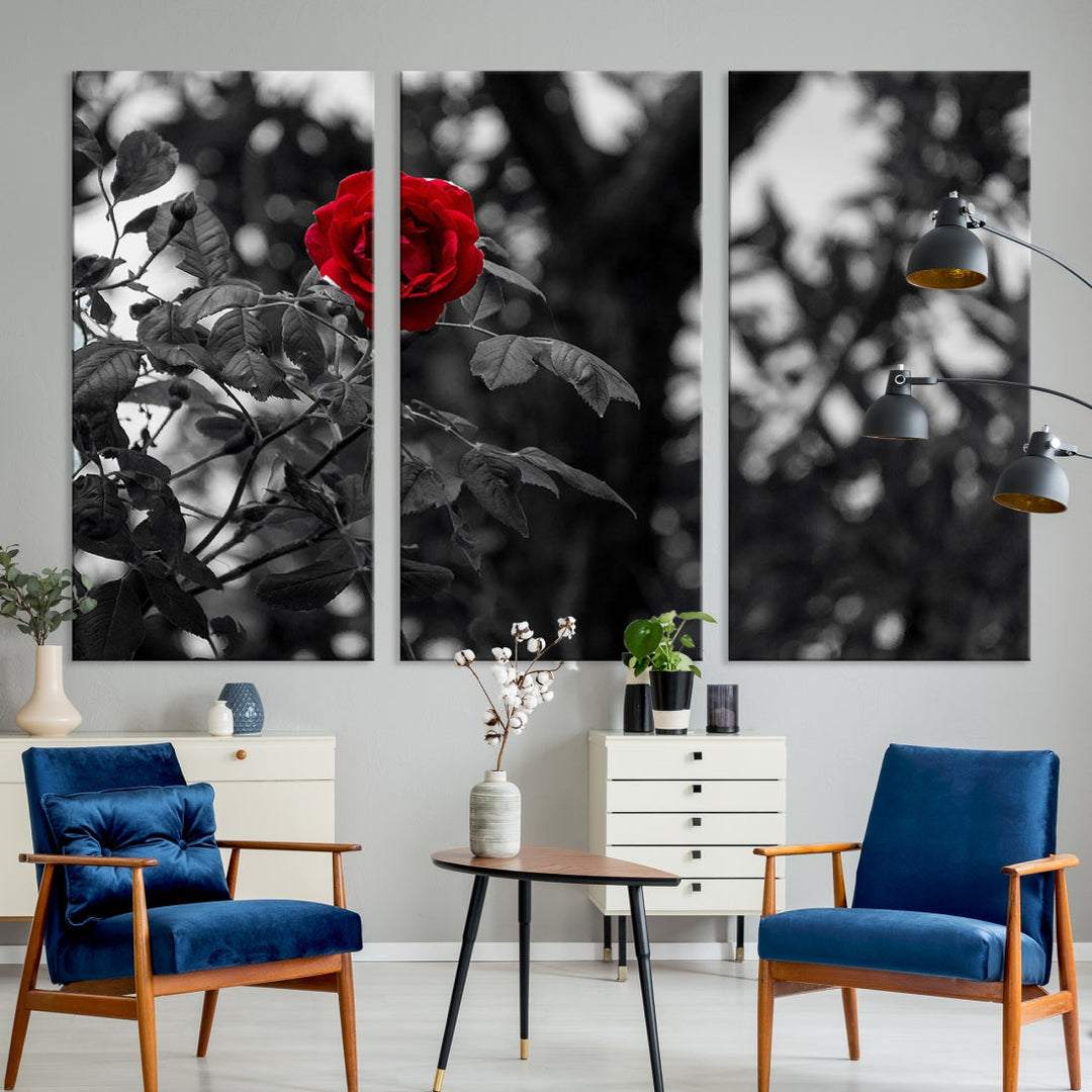 Red Rose with Black & White Background Love Canvas Wall Art Print Rose Canvas Art Love Artwork