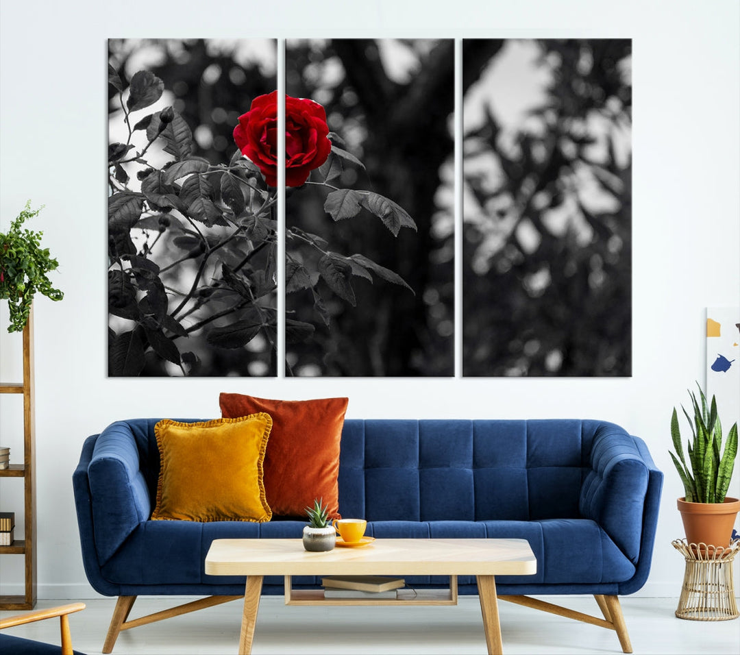 Red Rose with Black & White Background Love Canvas Wall Art Print Rose Canvas Art Love Artwork