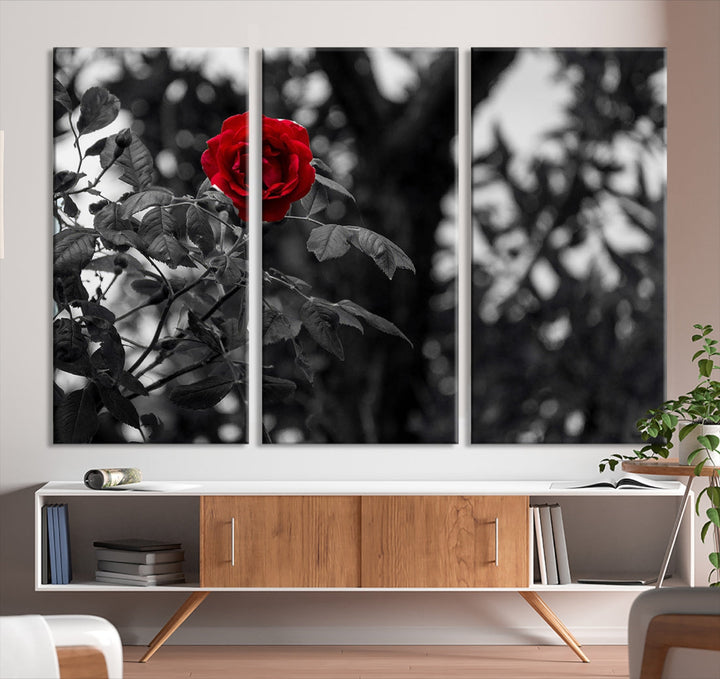 Red Rose with Black & White Background Love Canvas Wall Art Print Rose Canvas Art Love Artwork