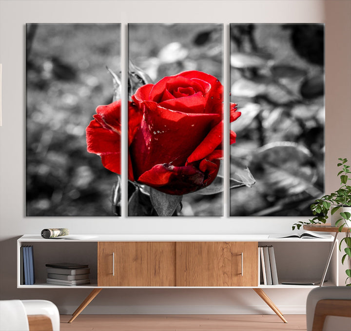 Rose Canvas Wall Art Red Rose Canvas Print Extra Large Wall Art