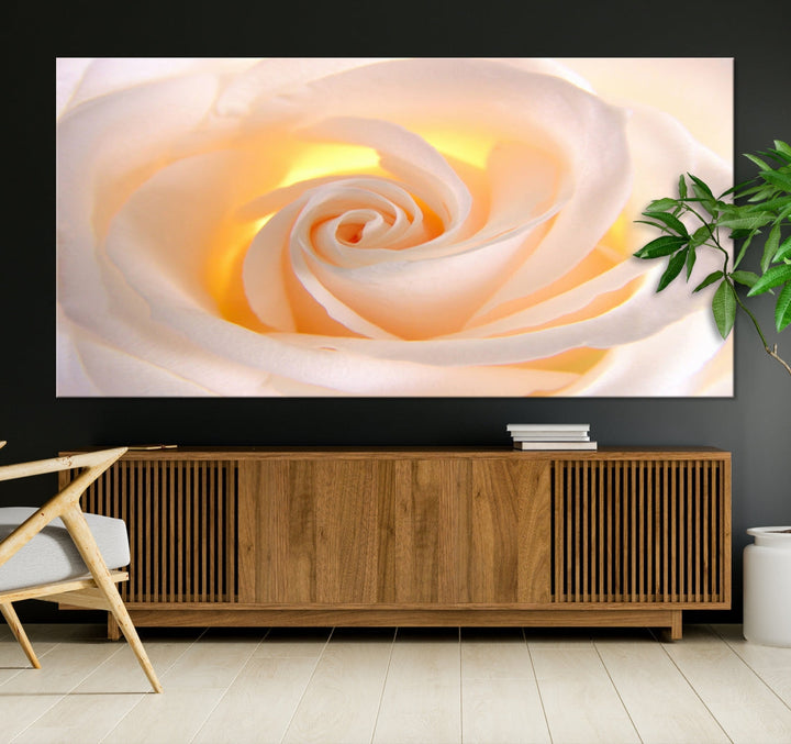 Rose Large Wall Art Canvas Print