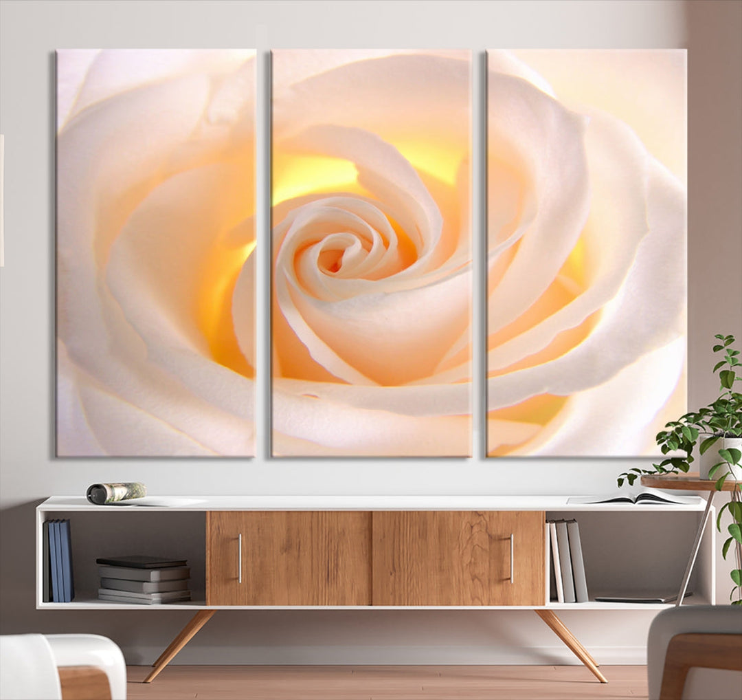 Rose Large Wall Art Canvas Print