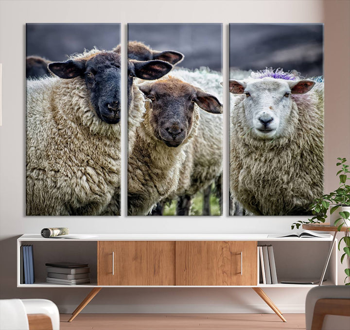 Rustic Sheep Canvas Wall Art Print - Farm Animal Trio in Pastoral Setting, Country Wall Art Decor for Living Room, Bedroom, Farmhouse, Ready to Hang