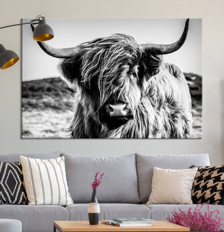 Handsome Scottish Cow Black and White Wall Decor Canvas Art Print Extra Large Wall Art Highland Cattle Canvas Picture Animal Art Nature Photography High Quality Original Canvas Framed Ready to Hang