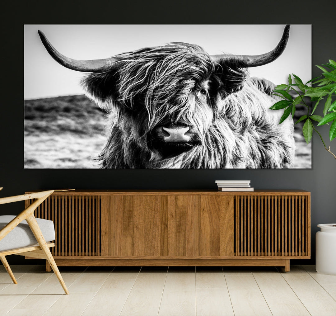 Handsome Scottish Cow Black and White Wall Decor Canvas Art Print Extra Large Wall Art Highland Cattle Canvas Picture Animal Art Nature Photography High Quality Original Canvas Framed Ready to Hang