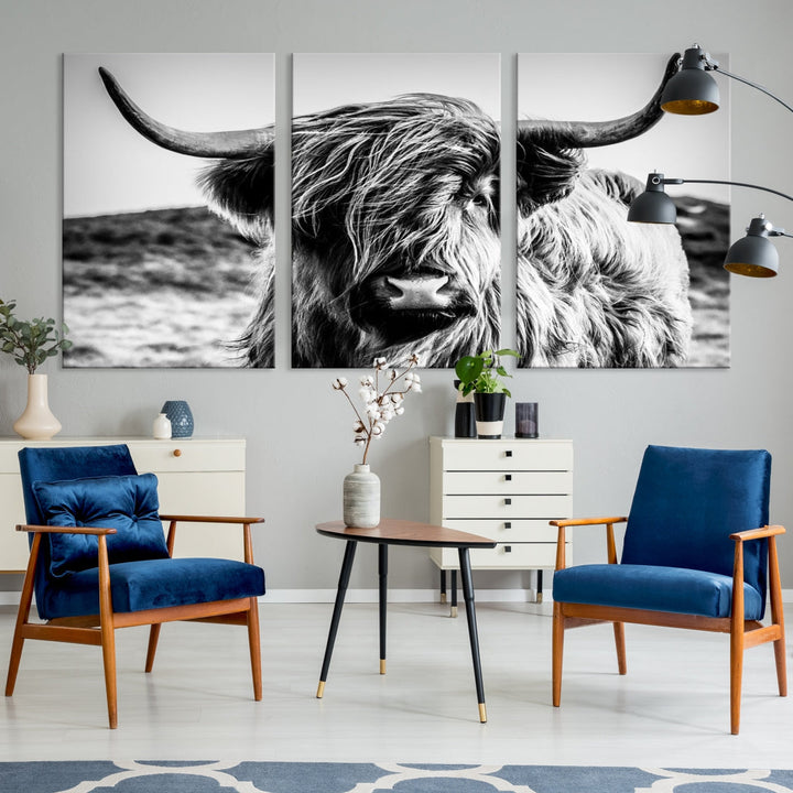 Handsome Scottish Cow Black and White Wall Decor Canvas Art Print Extra Large Wall Art Highland Cattle Canvas Picture Animal Art Nature Photography High Quality Original Canvas Framed Ready to Hang