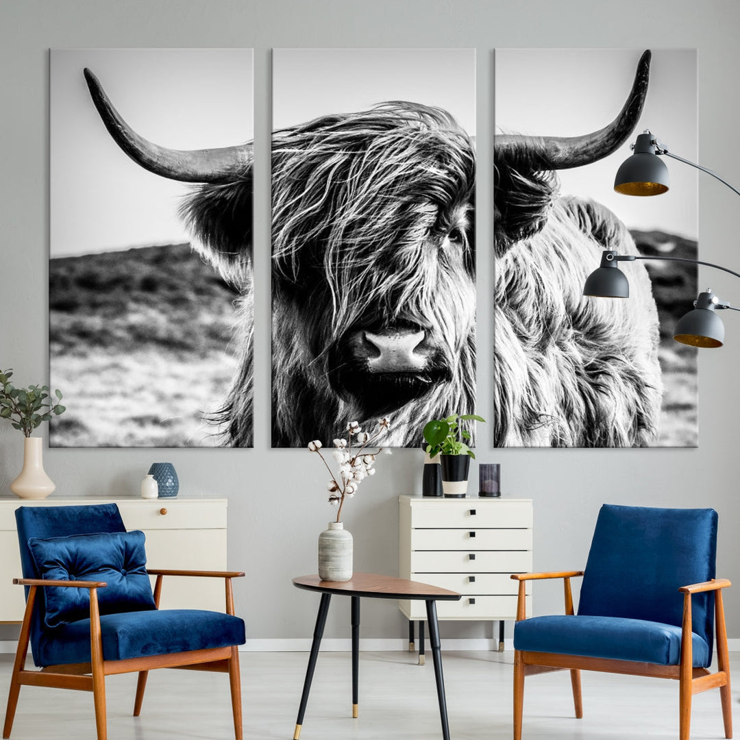 Handsome Scottish Cow Black and White Wall Decor Canvas Art Print Extra Large Wall Art Highland Cattle Canvas Picture Animal Art Nature Photography High Quality Original Canvas Framed Ready to Hang