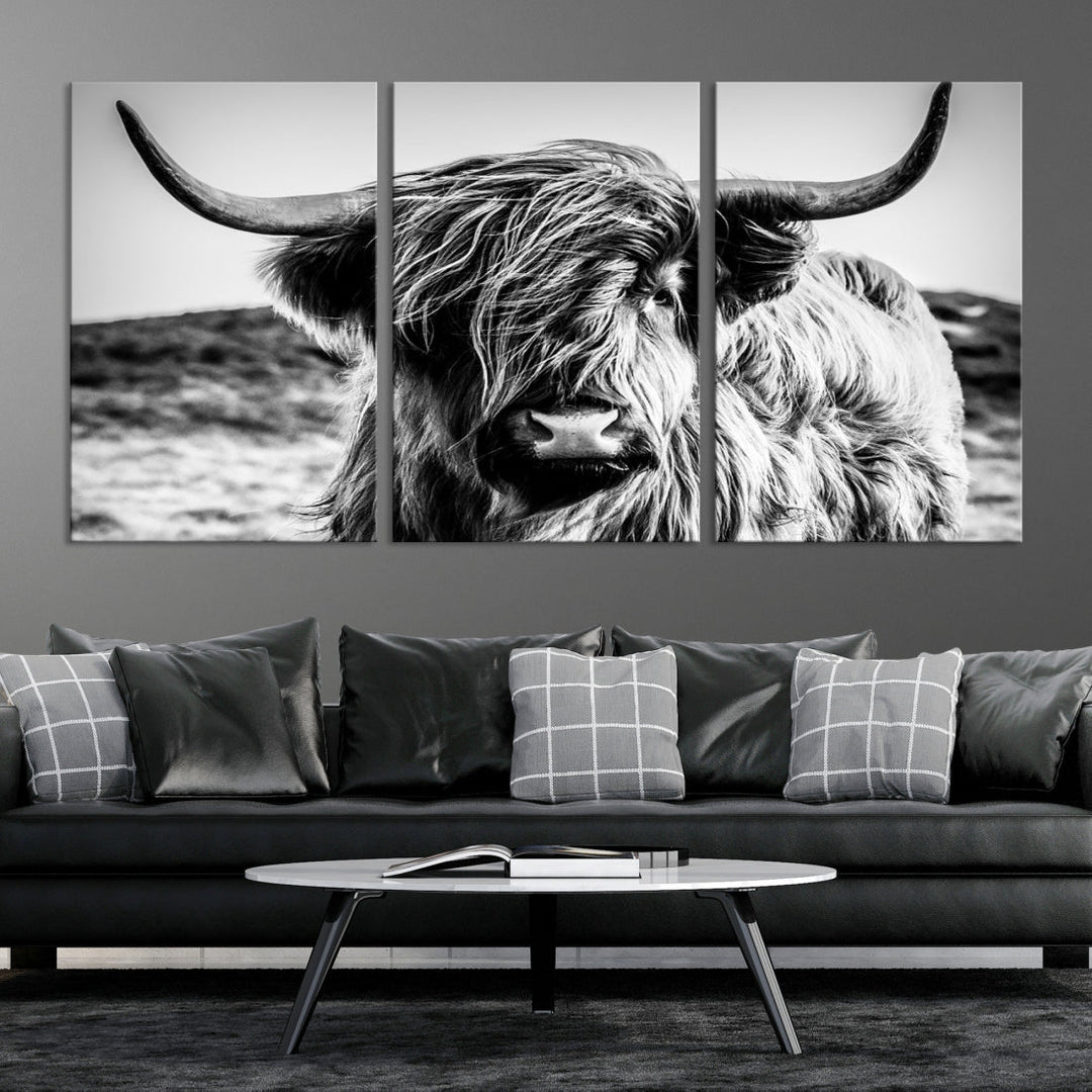 Handsome Scottish Cow Black and White Wall Decor Canvas Art Print Extra Large Wall Art Highland Cattle Canvas Picture Animal Art Nature Photography High Quality Original Canvas Framed Ready to Hang