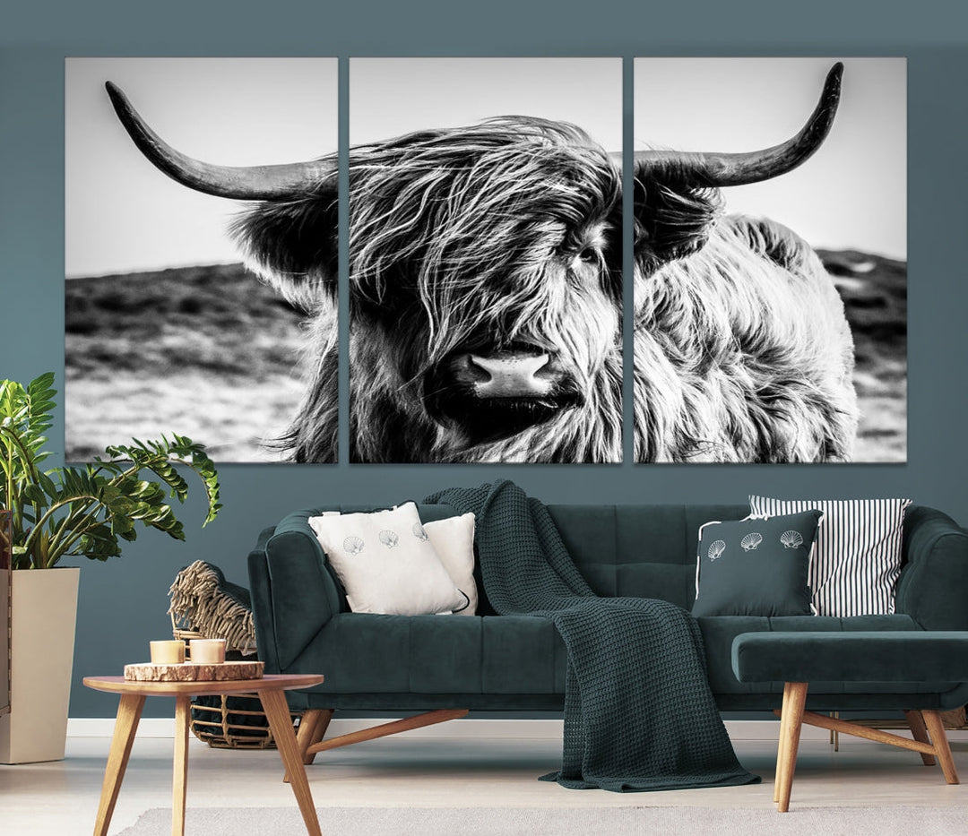 Handsome Scottish Cow Black and White Wall Decor Canvas Art Print Extra Large Wall Art Highland Cattle Canvas Picture Animal Art Nature Photography High Quality Original Canvas Framed Ready to Hang