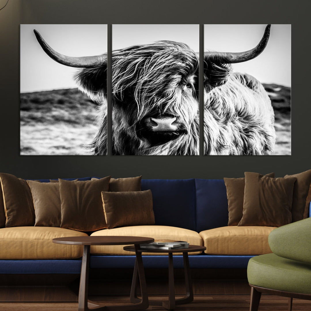 Handsome Scottish Cow Black and White Wall Decor Canvas Art Print Extra Large Wall Art Highland Cattle Canvas Picture Animal Art Nature Photography High Quality Original Canvas Framed Ready to Hang