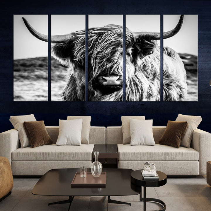 Handsome Scottish Cow Black and White Wall Decor Canvas Art Print Extra Large Wall Art Highland Cattle Canvas Picture Animal Art Nature Photography High Quality Original Canvas Framed Ready to Hang