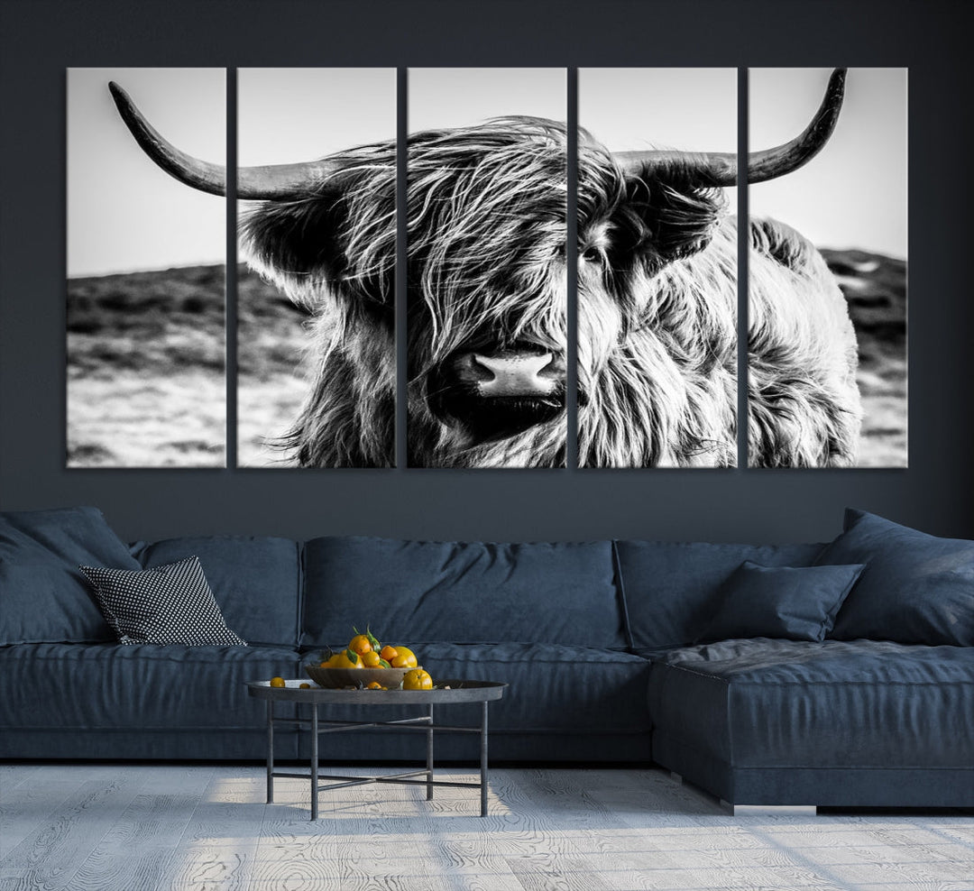 Handsome Scottish Cow Black and White Wall Decor Canvas Art Print Extra Large Wall Art Highland Cattle Canvas Picture Animal Art Nature Photography High Quality Original Canvas Framed Ready to Hang