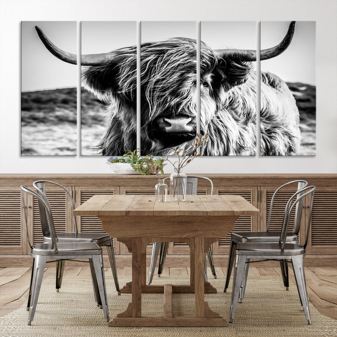 Handsome Scottish Cow Black and White Wall Decor Canvas Art Print Extra Large Wall Art Highland Cattle Canvas Picture Animal Art Nature Photography High Quality Original Canvas Framed Ready to Hang