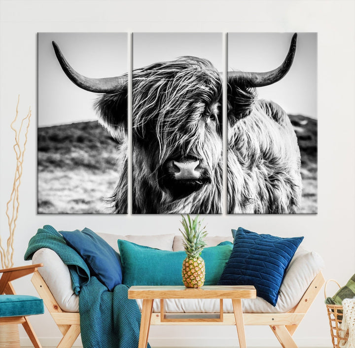 Handsome Scottish Cow Black and White Wall Decor Canvas Art Print Extra Large Wall Art Highland Cattle Canvas Picture Animal Art Nature Photography High Quality Original Canvas Framed Ready to Hang