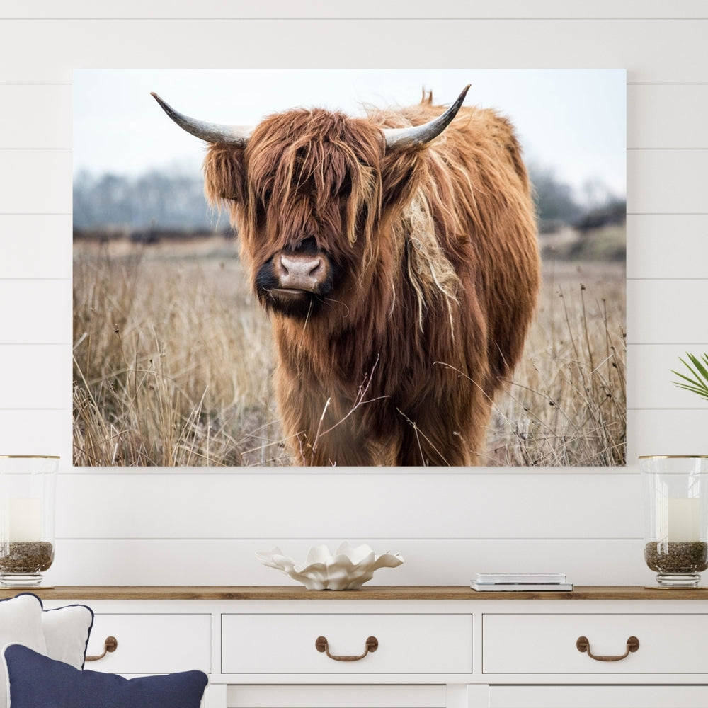 Wall Art Canvas Print