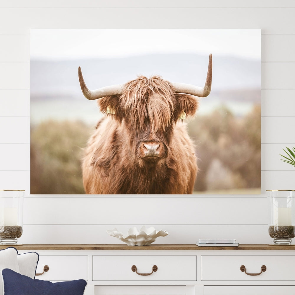 Wall Art Canvas Print