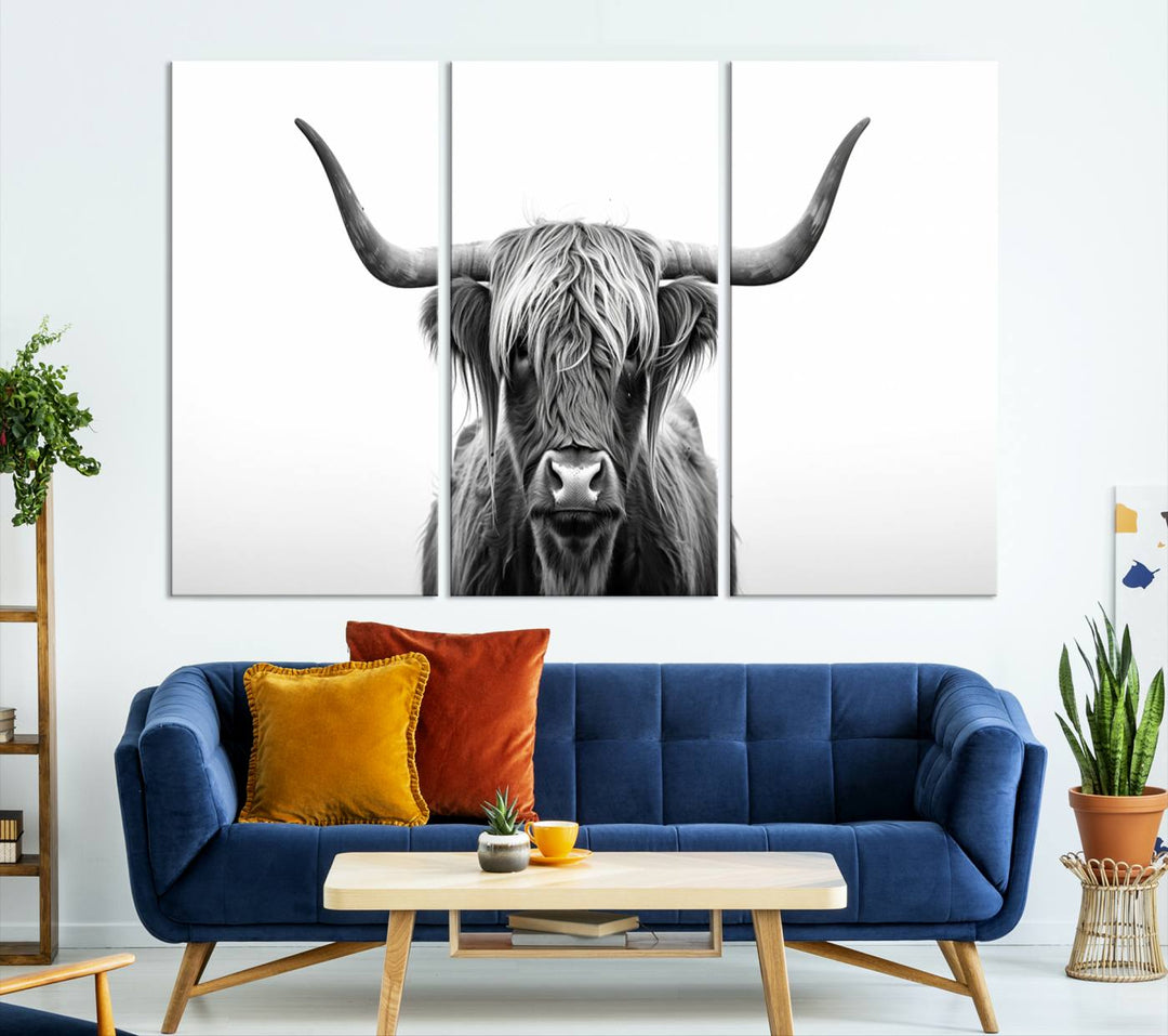 Scottish Cow Longhorn Wall Art Canvas Print