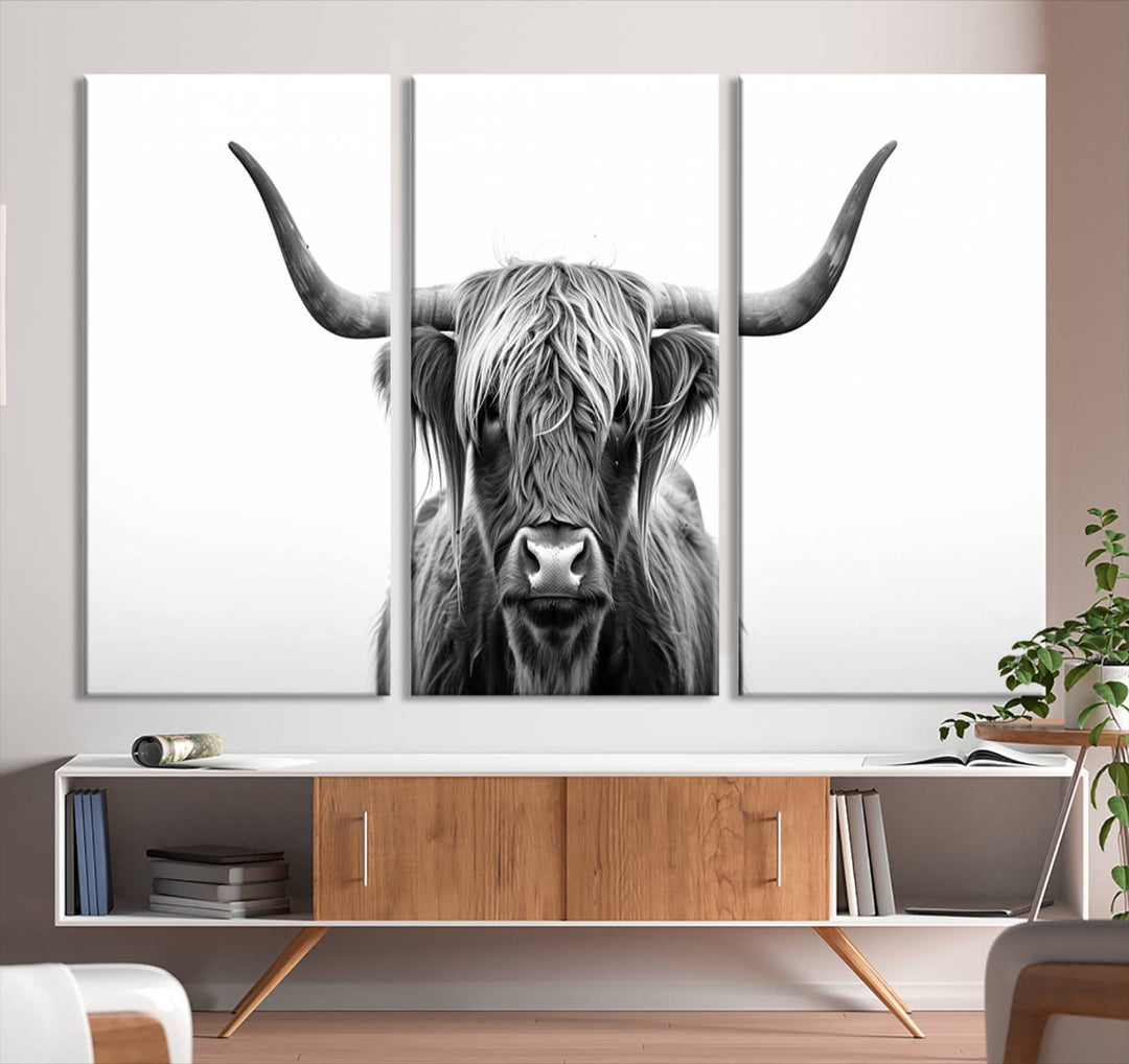 Scottish Cow Longhorn Wall Art Canvas Print