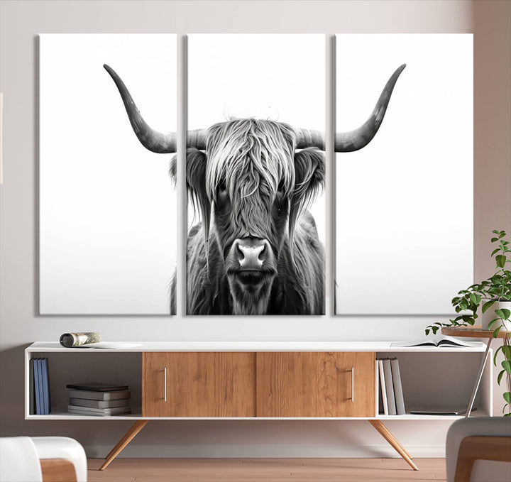 Scottish Cow Longhorn Wall Art Canvas Print