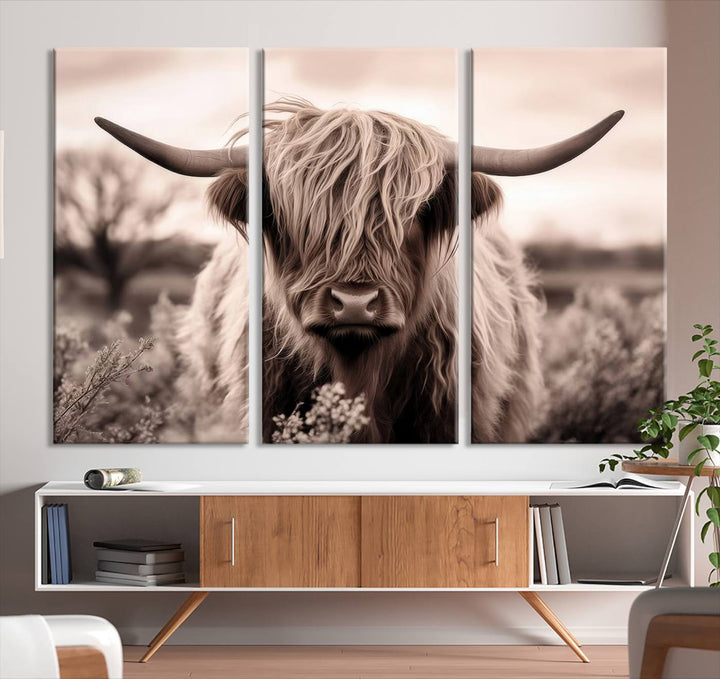 Scottish Cow Longhorn Wall Art Canvas Print