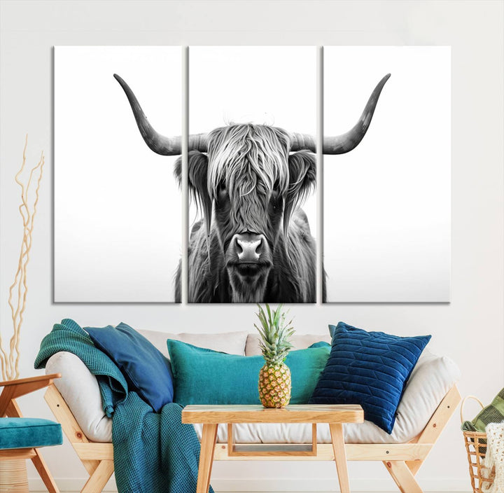 Scottish Cow Longhorn Wall Art Canvas Print