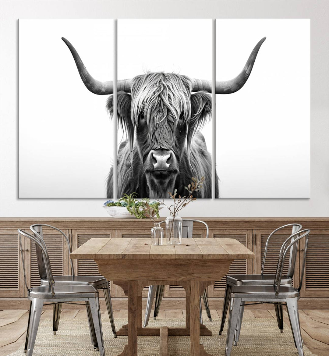 Scottish Cow Longhorn Wall Art Canvas Print