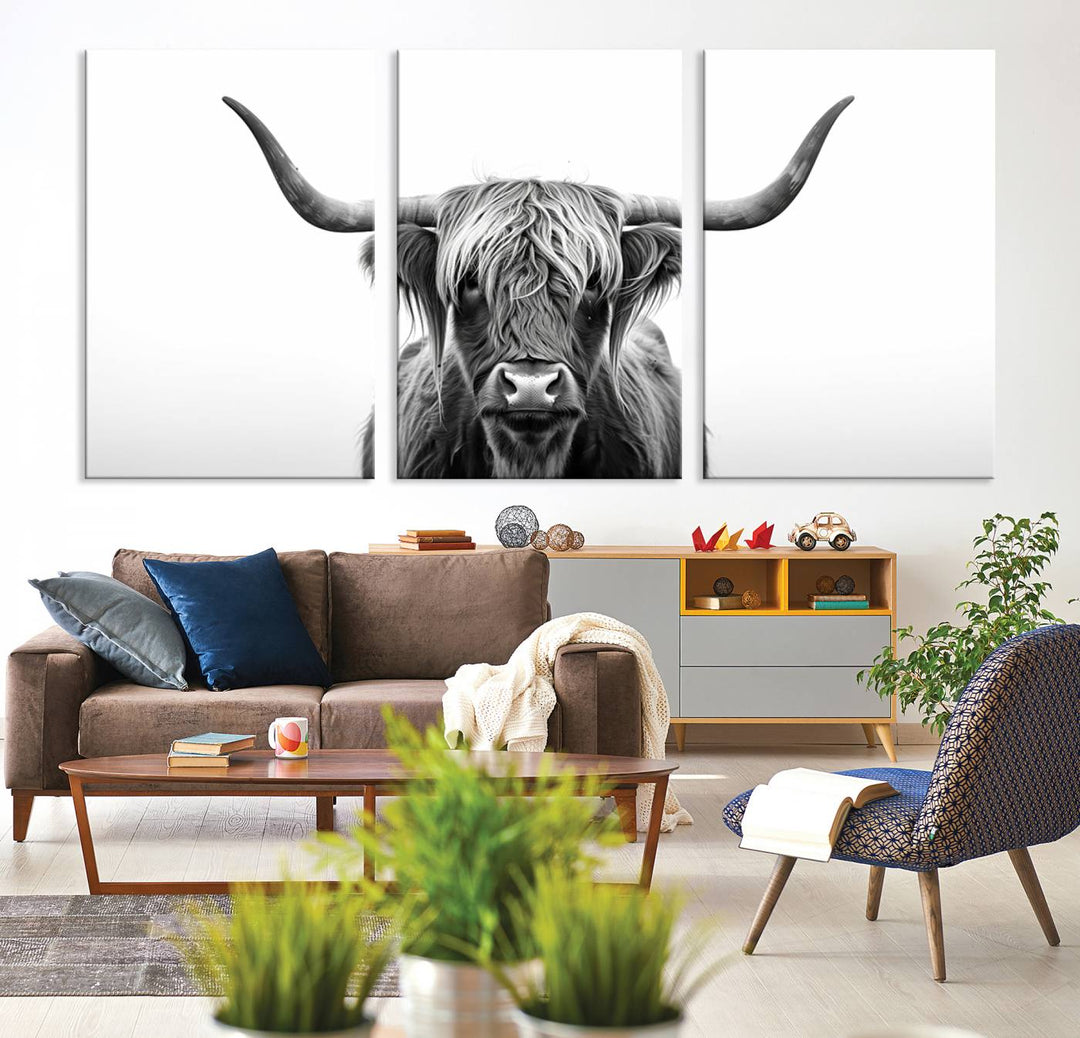 Scottish Cow Longhorn Wall Art Canvas Print