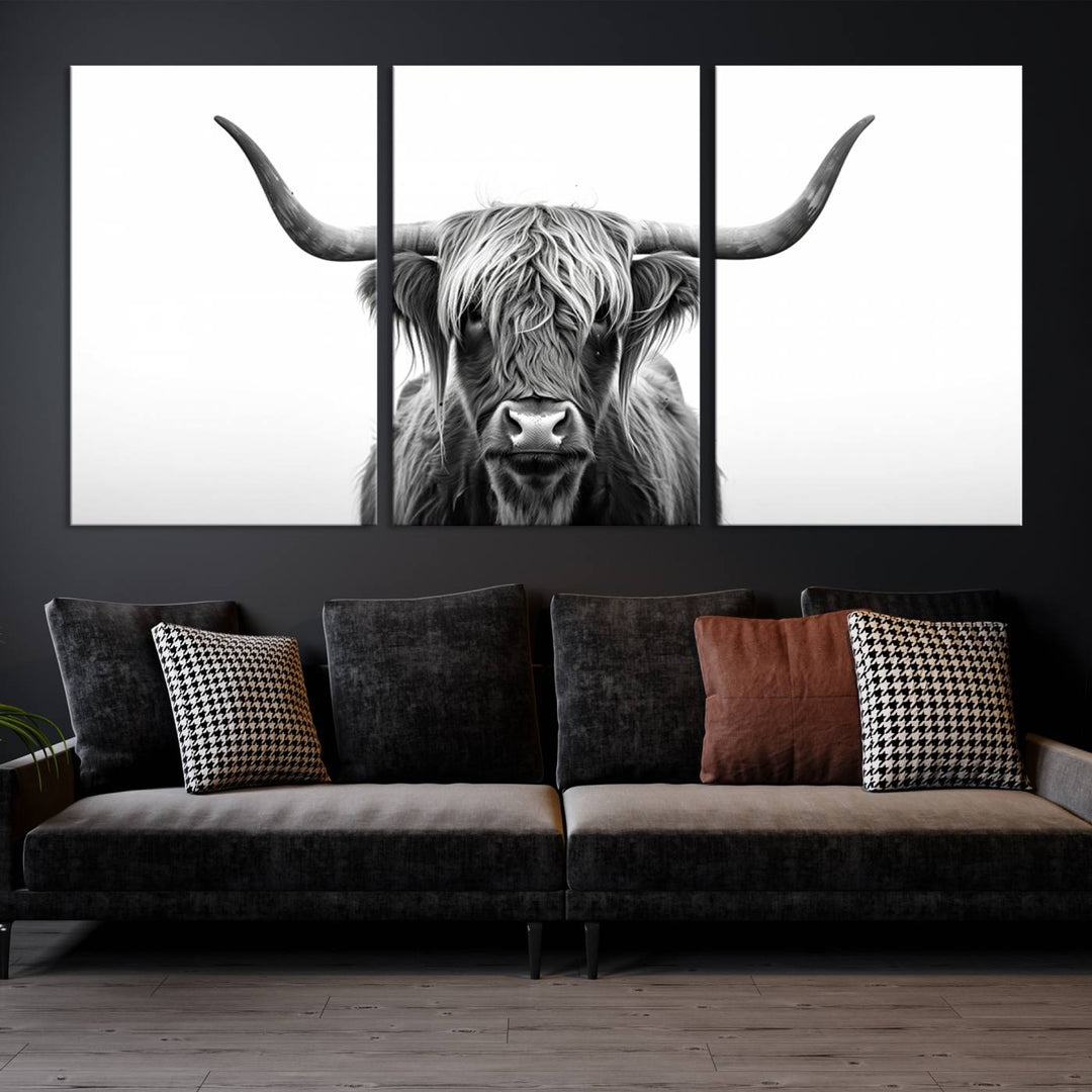 Scottish Cow Longhorn Wall Art Canvas Print