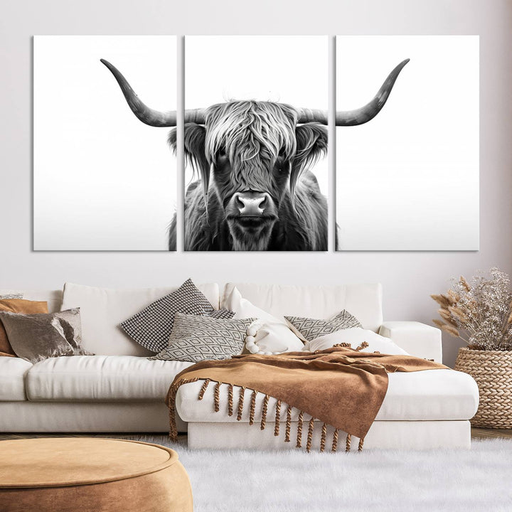 Scottish Cow Longhorn Wall Art Canvas Print