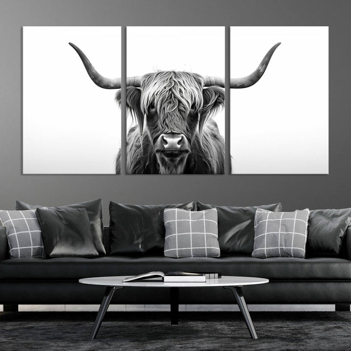 Scottish Cow Longhorn Wall Art Canvas Print