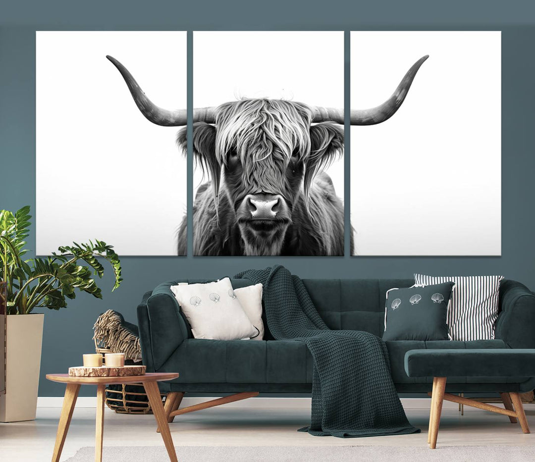 Scottish Cow Longhorn Wall Art Canvas Print