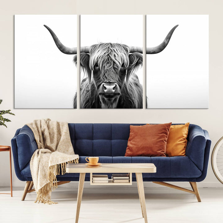 Scottish Cow Longhorn Wall Art Canvas Print