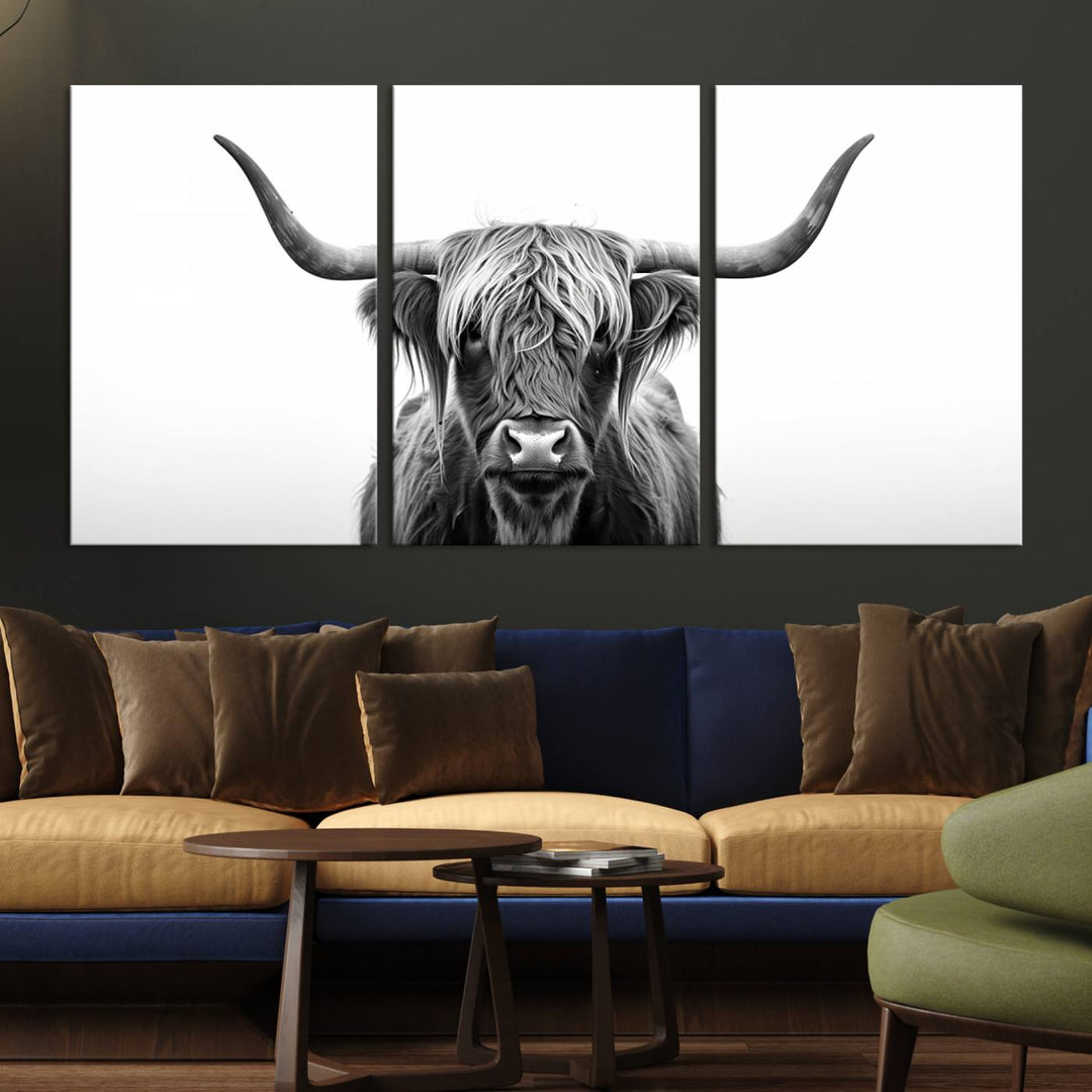 Scottish Cow Longhorn Wall Art Canvas Print