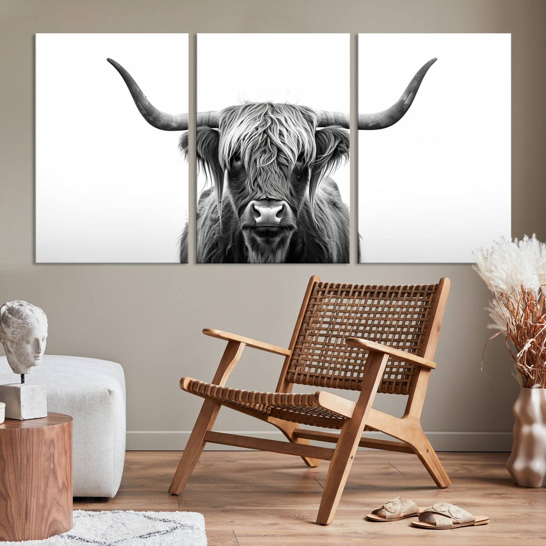 Scottish Cow Longhorn Wall Art Canvas Print