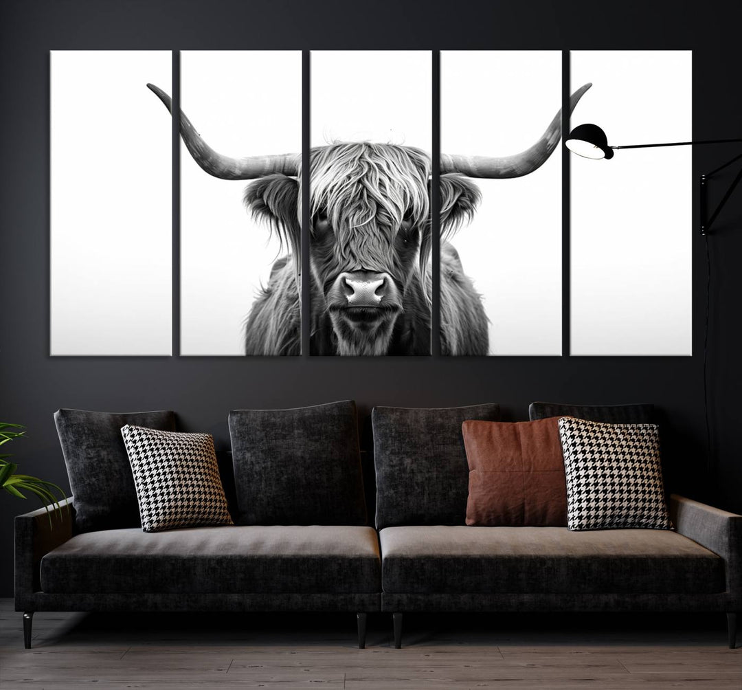 Scottish Cow Longhorn Wall Art Canvas Print