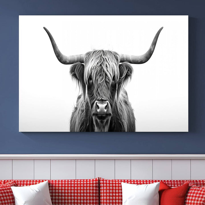 Scottish Cow Longhorn Wall Art Canvas Print