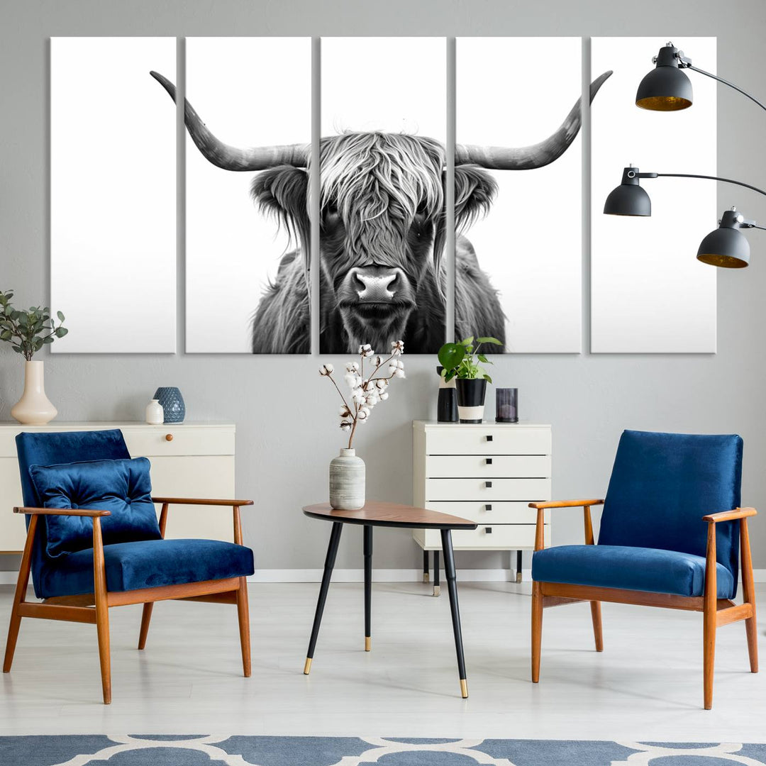 Scottish Cow Longhorn Wall Art Canvas Print