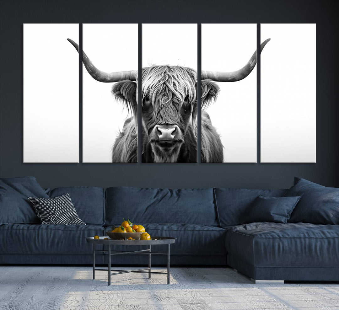 Scottish Cow Longhorn Wall Art Canvas Print