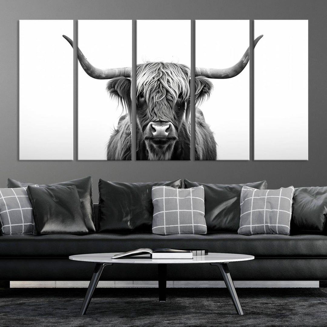 Scottish Cow Longhorn Wall Art Canvas Print