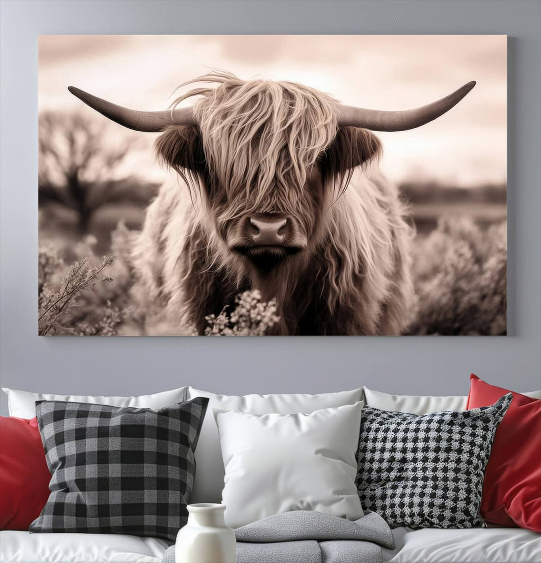 Scottish Cow Longhorn Wall Art Canvas Print