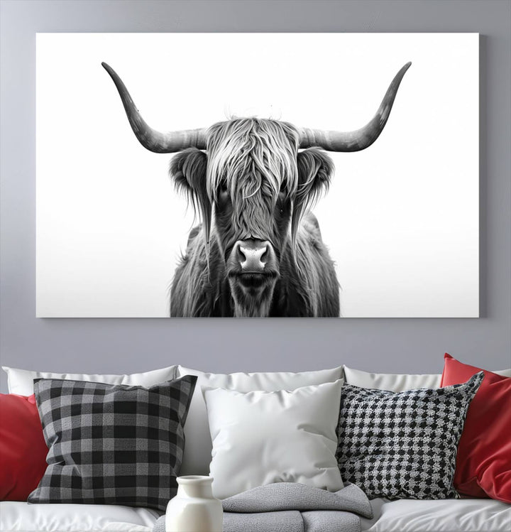 Scottish Cow Longhorn Wall Art Canvas Print