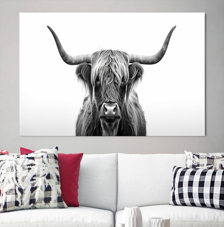 Scottish Cow Longhorn Wall Art Canvas Print