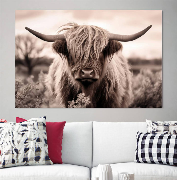 Scottish Cow Longhorn Wall Art Canvas Print