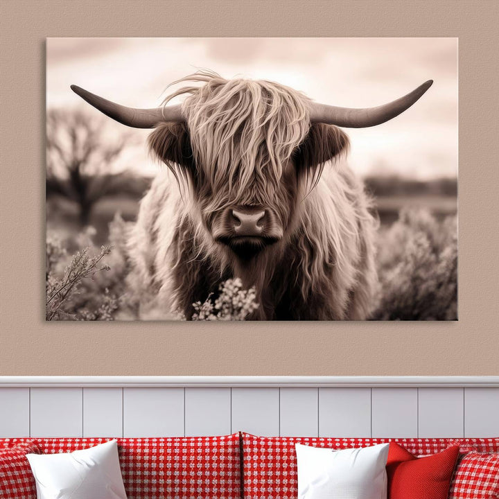 Scottish Cow Longhorn Wall Art Canvas Print