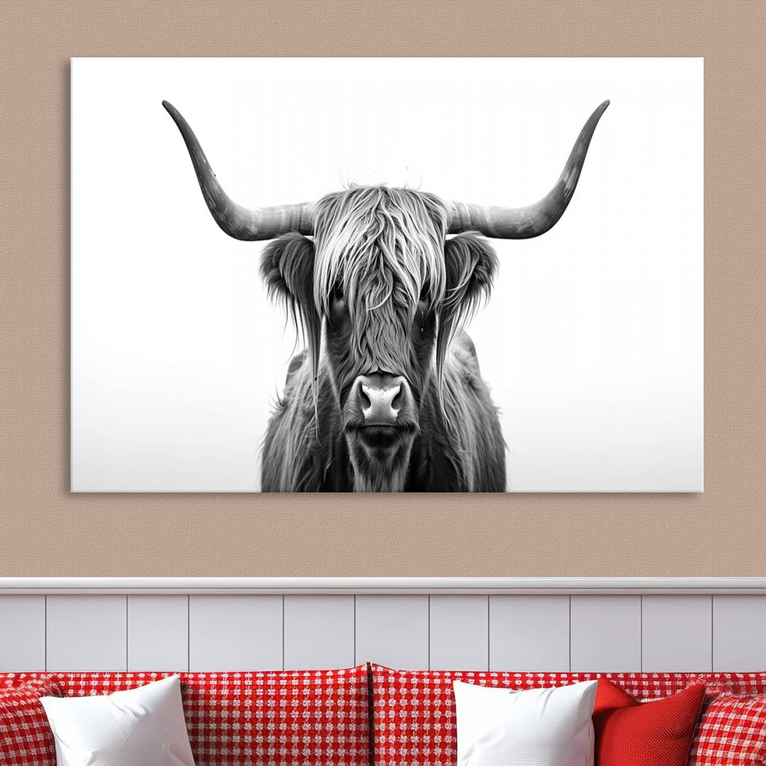 Scottish Cow Longhorn Wall Art Canvas Print